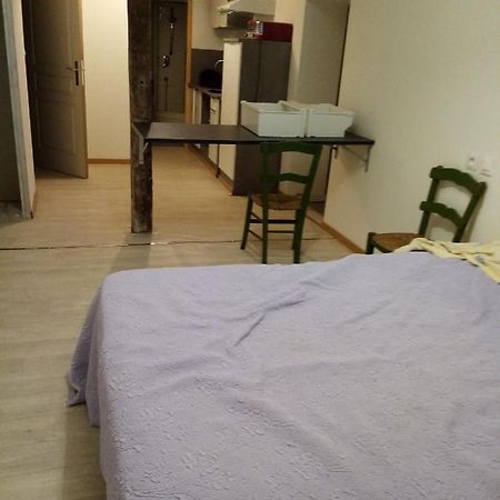 Studio Saint Pierre Вик-Фезенсак Екстериор снимка